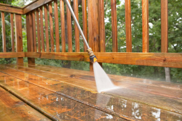 Boat and Dock Cleaning in Ovid, MI